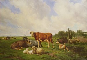 Sheep and Cattle in a Field